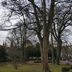 Wiesbaden