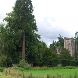 First View of the Cathedral