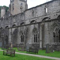 The Old Cathedral
