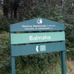 The Sign in Balmaha