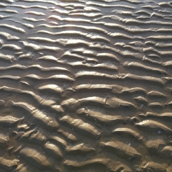 Sand Patterns