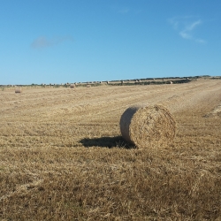 Hay barrel