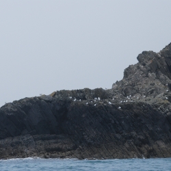 Ramsey island rocks